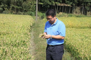 農(nóng)業(yè)科技工作者的楷模 記農(nóng)產(chǎn)品質量標準研究所趙學平研究員的科研風采