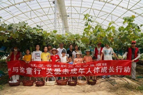 農(nóng)業(yè)技術新突破 奇特葡萄品種的首次亮相