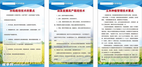 農(nóng)作物栽培管理技術設計圖及其在農(nóng)業(yè)技術研究中的應用