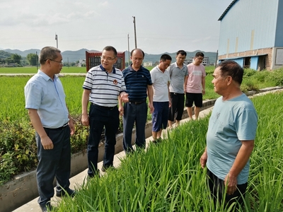 我區(qū)啟動全國五星鄉(xiāng)鎮(zhèn)農(nóng)技推廣機構(gòu)復(fù)核工作，深化農(nóng)業(yè)技術(shù)研究與應(yīng)用