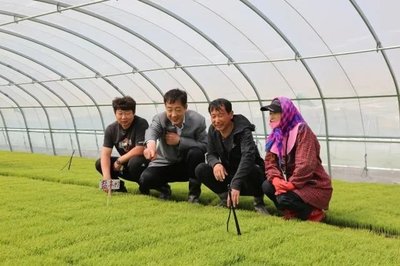 科技助農(nóng)促增收——新興鎮(zhèn)農(nóng)業(yè)技術(shù)人員下鄉(xiāng)指導(dǎo)紀實