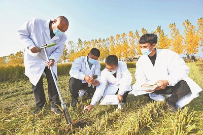 科技賦能，綠色希望——‘開元上院杯’臨沂日報新聞攝影大賽農(nóng)業(yè)技術(shù)研究專題作品集錦