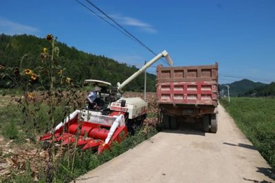 科技助力，省州專家團隊赴施秉縣開展中低產(chǎn)田產(chǎn)能提升與玉米大豆復(fù)合種植測產(chǎn)工作