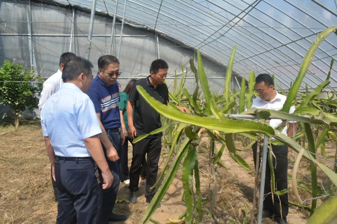 科技賦能巾幗力，助農(nóng)興農(nóng)譜新篇——山東濱州市巾幗科技助農(nóng)興農(nóng)直通車走進陽信