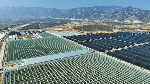 科技賦能，產(chǎn)業(yè)升級 山西陽曲農(nóng)業(yè)產(chǎn)業(yè)化的創(chuàng)新實踐